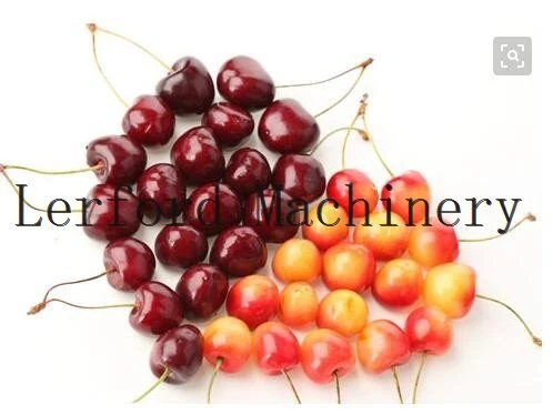 cherry pit remover machine